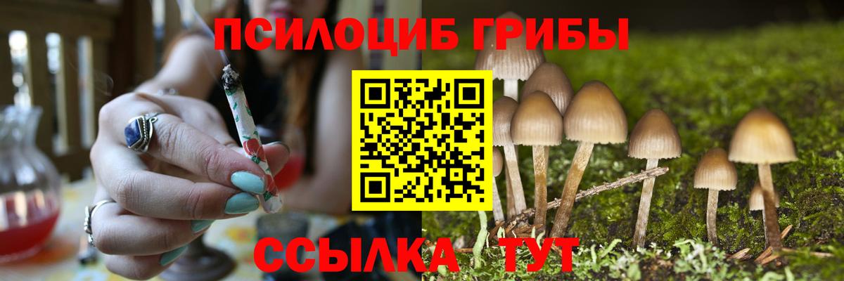 Галлюциногенные грибы мухоморы  Псилоцибиновые грибы прущие грибы  Вход с VPN  Канаш 